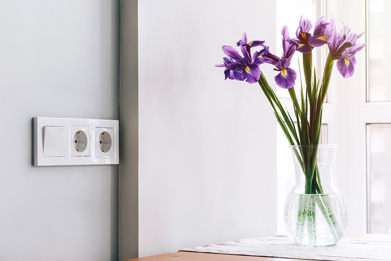Design bei Schramm & Lorenz GmbH in Breitenbrunn OT Antonsthal